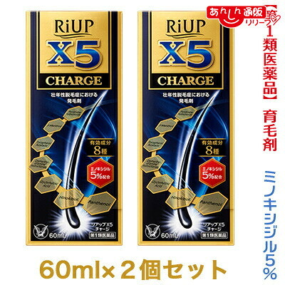 【第1類医薬品】 【お得な２個セット】 【大正製薬】リアップＸ５チャージ ６０ｍｌ 発毛剤・育毛剤および脱毛（抜け毛）の進行予防