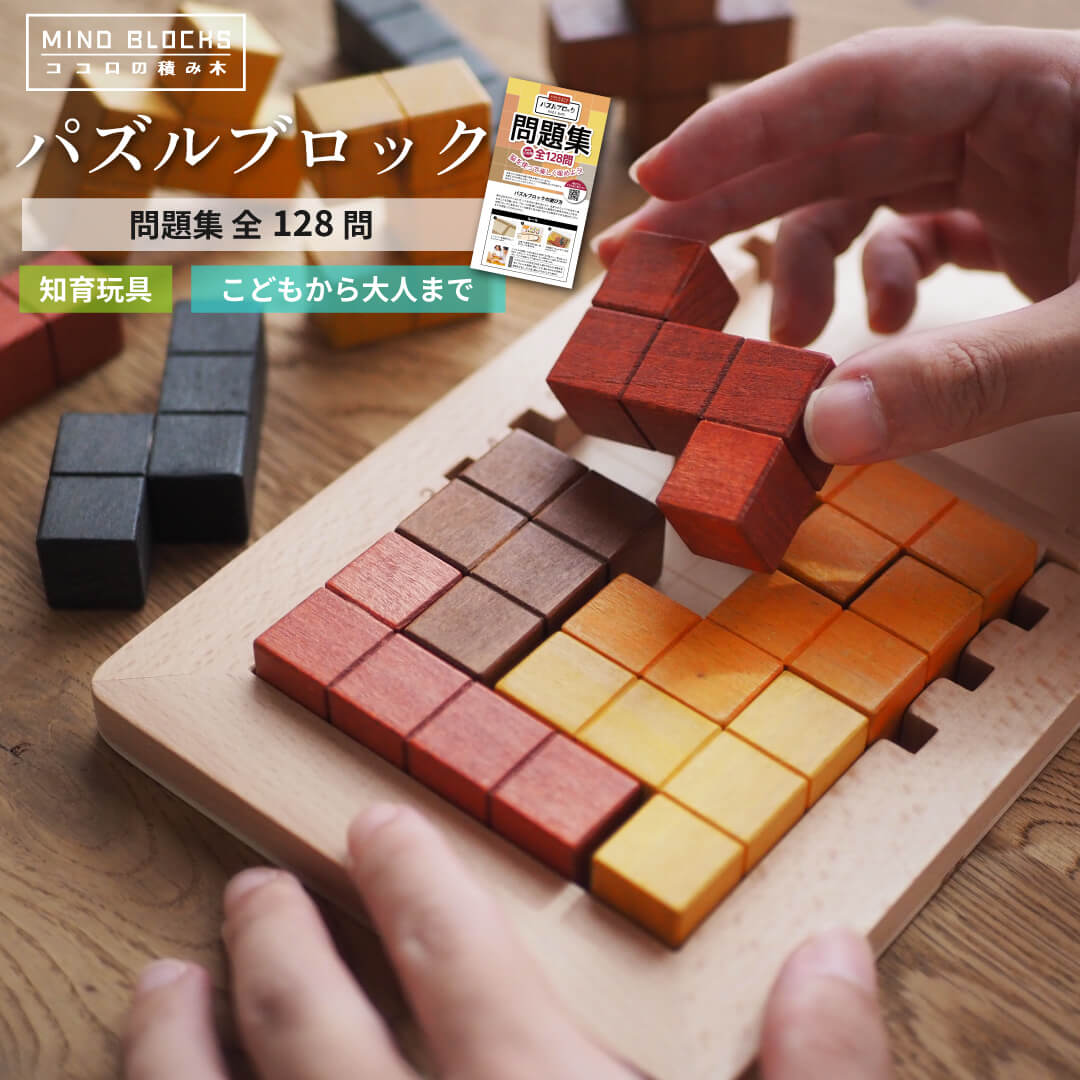 楽天市場】ココロの積み木 パズルブロック / 問題集128問付き 問題集