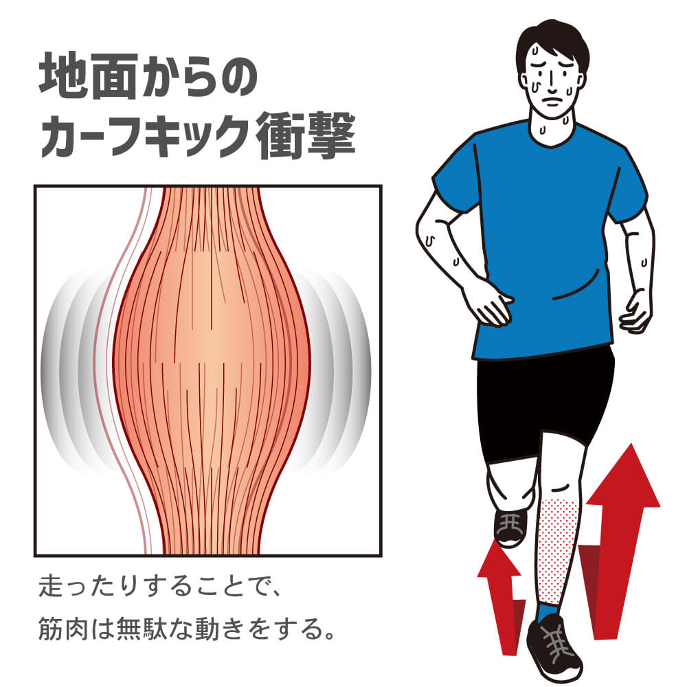 送料無料 メーカー直売 Activital ダブルエックスゲイター アクティバイタル 人気 ゲイター ゲイターソックス ふくらはぎ カーフ カーフサポーター サッカー フットサル ランニング グッズマン あんしんプラス Crunchusers Com