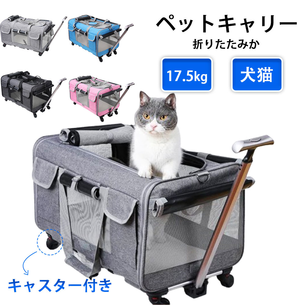 楽天市場】Petilet キャリーバッグ ペットキャリー 猫用 透明 キャリー