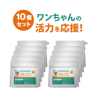 送料込 アウトレット 犬の元気バリアサポート 100g 10個セット メール便 粉末 デキストリン ビール酵母 チキンエキス プロポリスエキス アガリクス茸 複合植物発酵物混合物 鶏肉抽出物 ビタミンｃ ドッグ 元気 食欲 活力 付属スプーン 粉末 愛犬 犬 ペットサプリ Ss