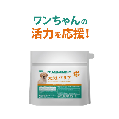 楽天市場 アウトレット 犬のすと んスリム 100g 無添加 送料無料 ペットサプリ 犬ダイエット ペットダイエット 大根粉末 乳酸菌 プロポリス ビフィズス菌 グルコマンナン デキストリンイヌリン イソマルトオリゴ糖 茶花 ビール酵母 犬用 犬 粉末 賞味期限21年8月まで