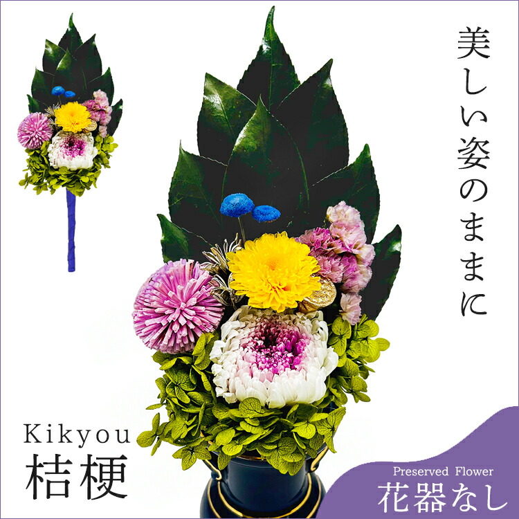 プリザーブドフラワー「桔梗」花のみ（花器なし）［仏花アレンジ］ プリザーブドフラワー 供花 花器付き 芦屋花壇 御供 仏壇 お悔やみ ギフト お盆 進物 お彼岸 枯れない 造花不使用 蓮 輪菊 ポンポン菊 アジサイ 椿葉 A&K