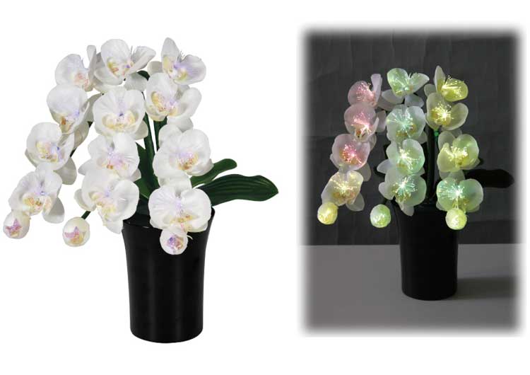 Luminous 胡蝶蘭DX LED光触媒 ルミナスアレンジ胡蝶蘭 DX光触媒 ｜人形の伏見屋