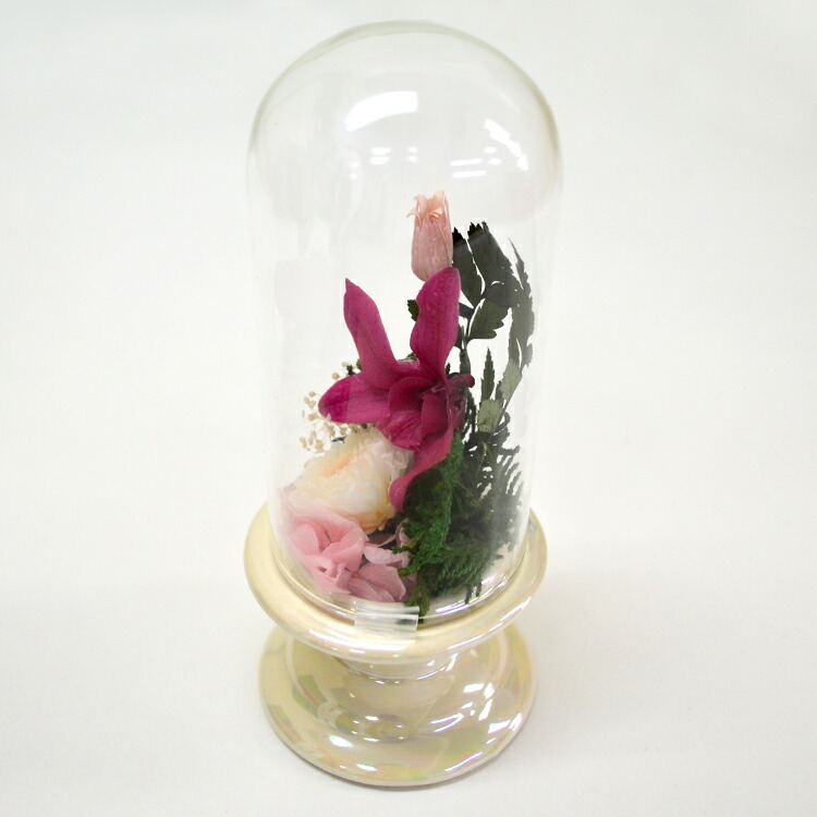 在庫一掃セールのため 特別価格にて販売いたします 訳ありワゴンセール C 37 メモリアルプリザーブドフラワー仏花 ガラスドーム付き仏花 S寸 桃 プリザーブドフラワー 仏花 ミニ仏壇 供花 盆 盆飾り お彼岸 仏事 法要 ガラスドーム ドーム型 Mcpc Com Au