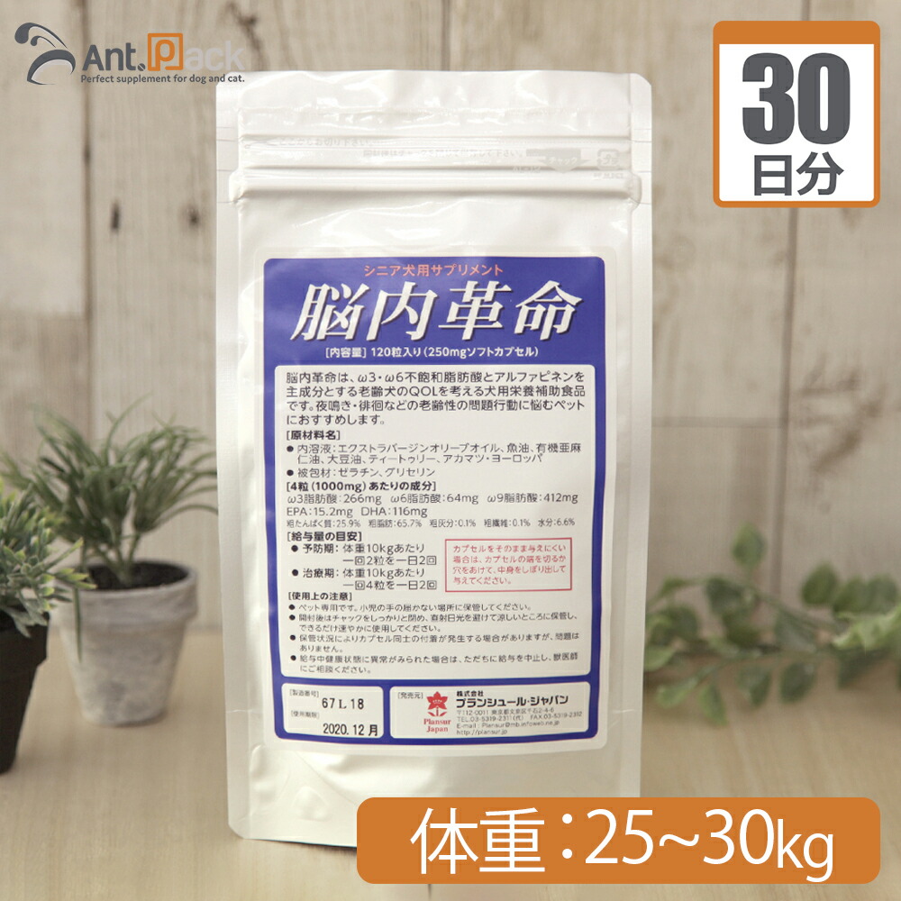 高質で安価 プランシュール 脳内革命 犬用 体重25kg 30kg 1日12カプセル30日分 コンビニ受取対応商品 Volfgr Com