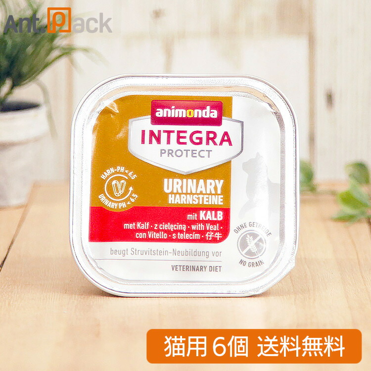 楽天市場】バイオガイア ニャンズ リキッド 猫用 10mL 無味無臭