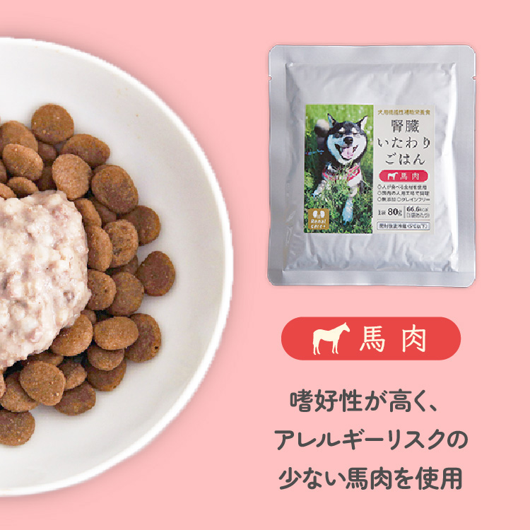 本命ギフト 腎臓いたわりごはん 鶏肉 犬用 80g×12袋 送料無料 同梱不可