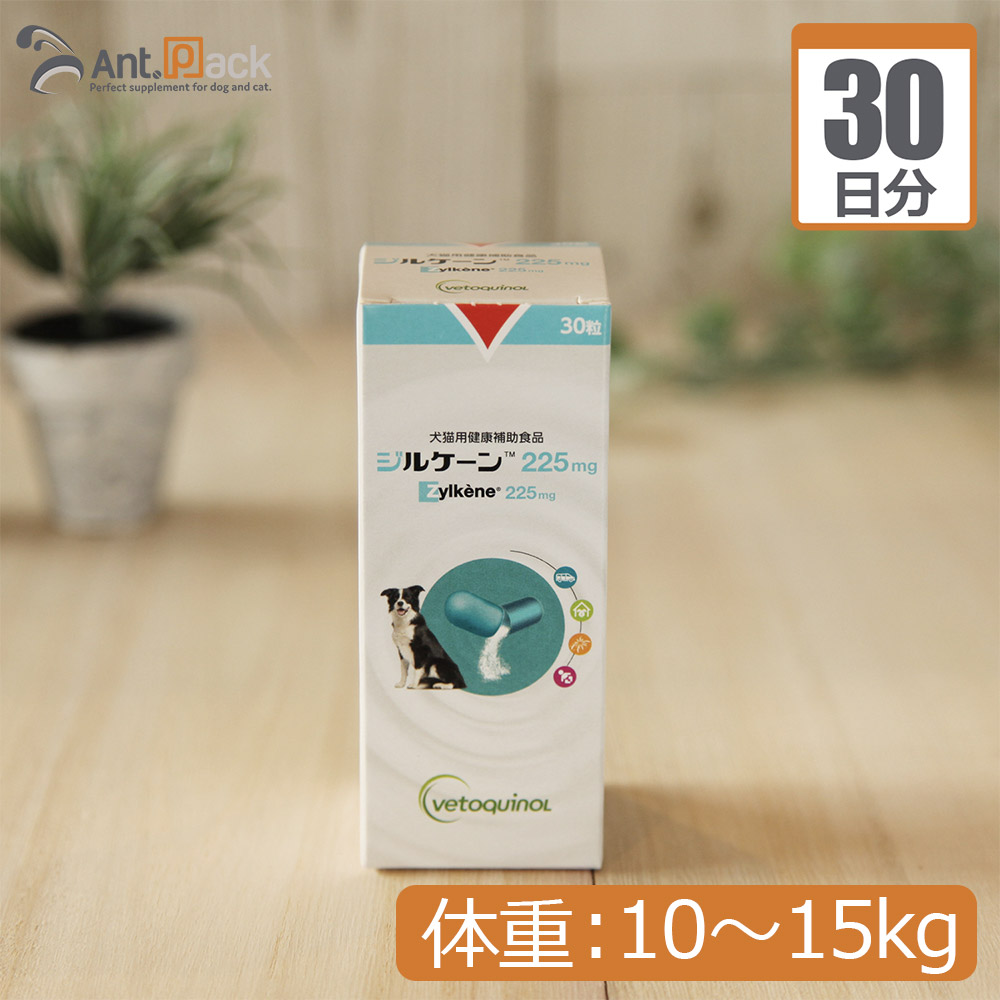 楽天市場】【お試し1日分】全薬 プロデン デンタルケア犬用 体重1kg〜10kg用 0.15g 1日分 : ペット用サプリ専門 Ant.Pack