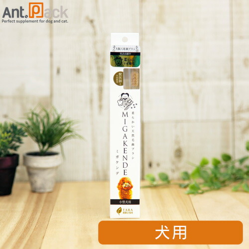 楽天市場】PKBジャパン オーラティーン デンタルジェル 28g［ネコポス