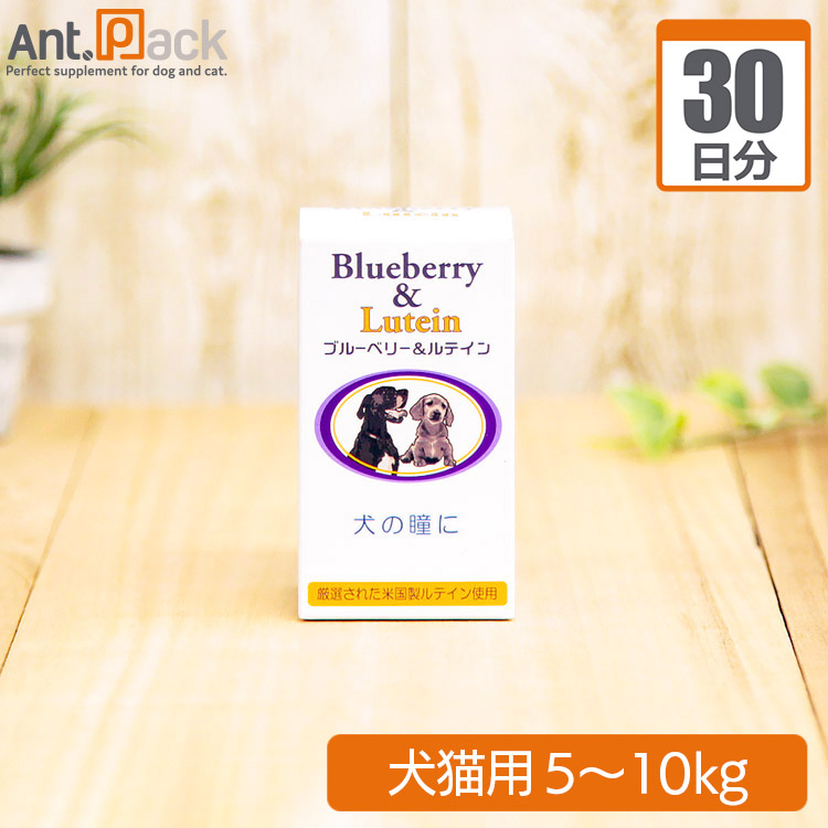 楽天市場 日本ビーエフ ブルーベリー ルテイン犬猫用 体重5kg 10kg 1日1粒 30日分 ペット用サプリ専門 Ant Pack