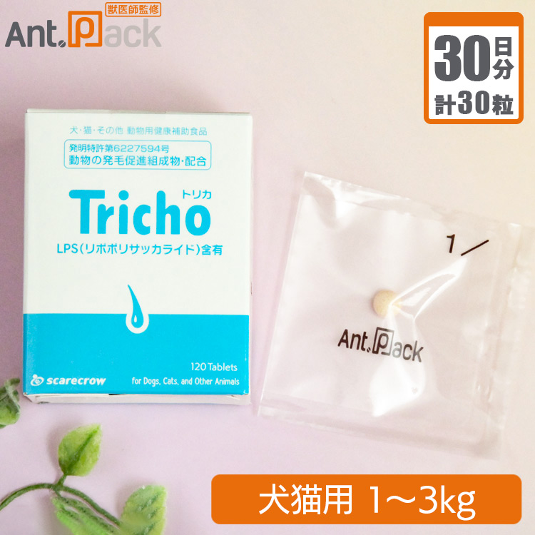 楽天市場】共立製薬 R&U30 犬猫用 体重1kg～10kg 1日1粒30日分