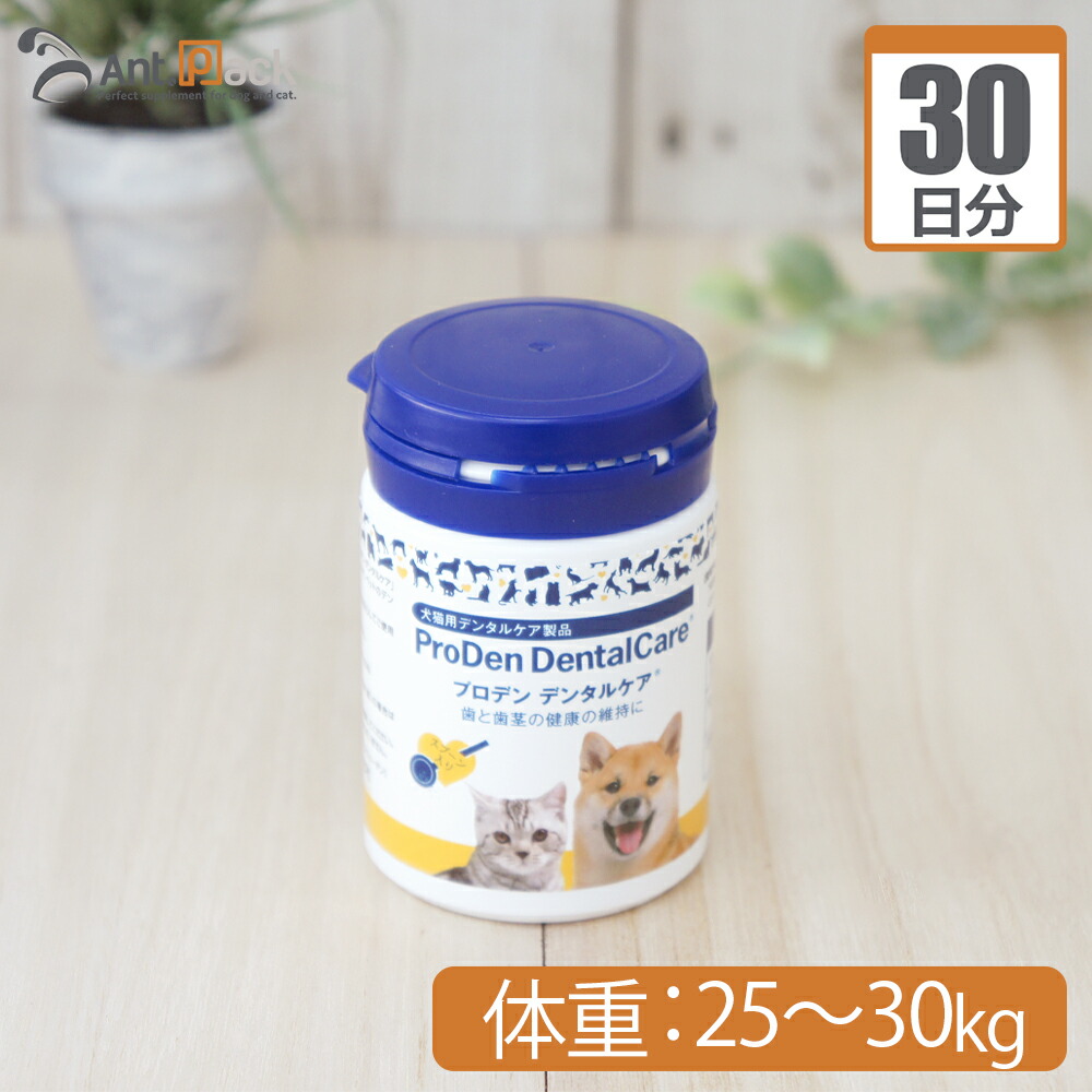 プロデンデンタルケア 40g 3個セット Amazon | プロデン デンタルケア 犬猫用 40g | 犬猫用デンタル