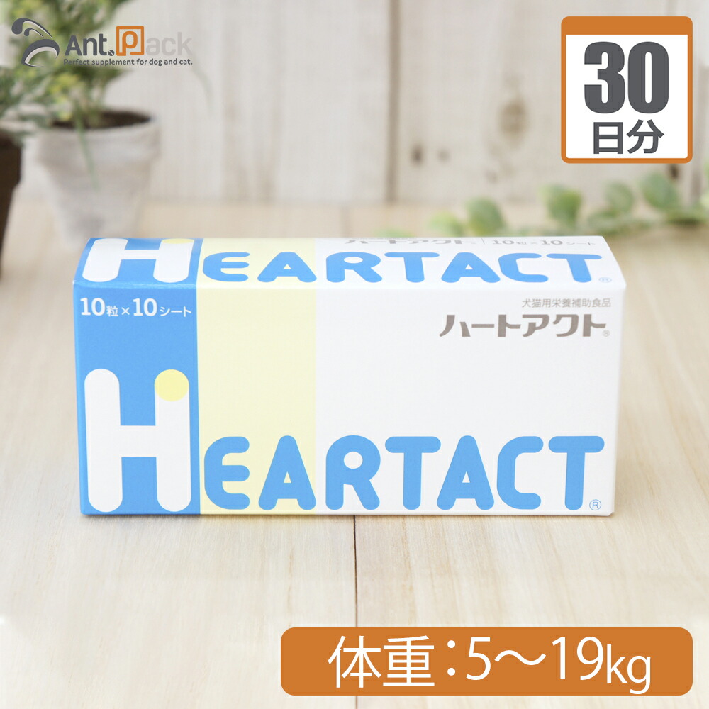 楽天市場】共立製薬 ネフガード顆粒 犬猫用 体重1kg〜5kg 1日0.4g30日 ...