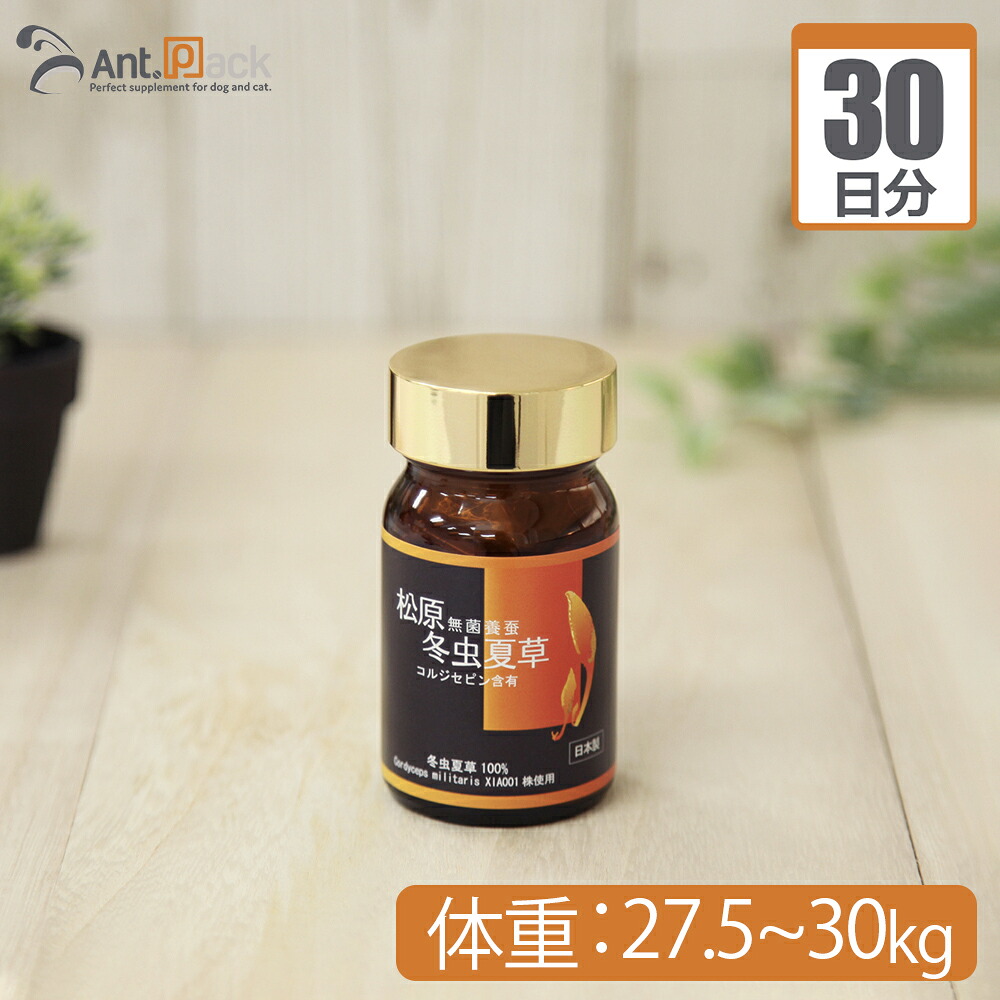 【送料無料】松原 無菌養蚕 冬虫夏草 犬猫用 体重27.5kg～30kg 1日0.6g30日分｜ペット用サプリ専門　Ant.Pack
