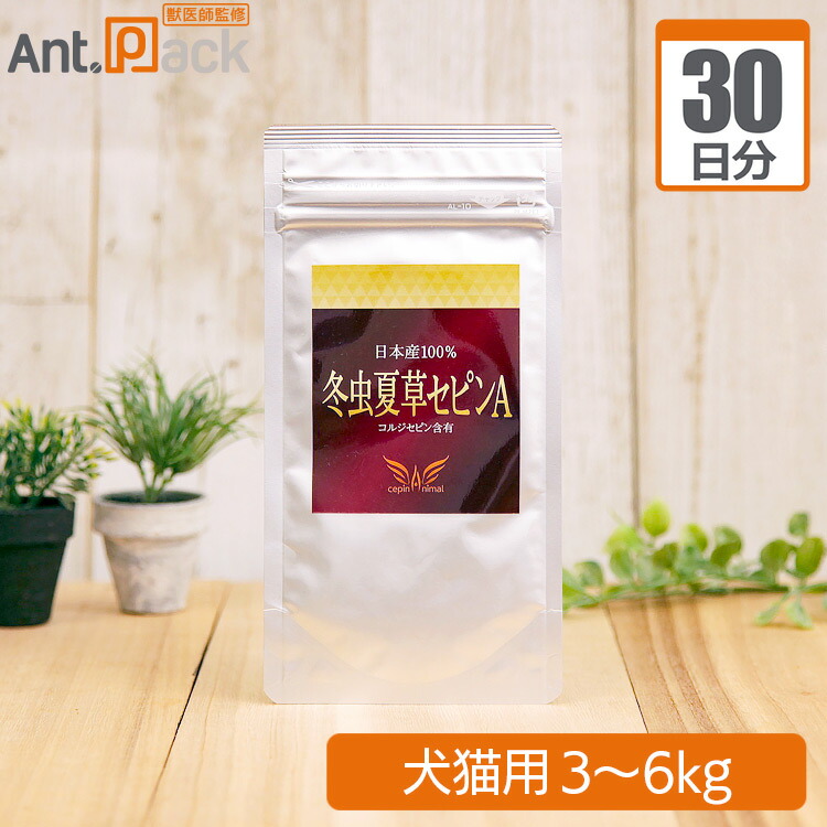 楽天市場】ノエビア 西藏冬虫夏草 (チベットトウチュウカソウ