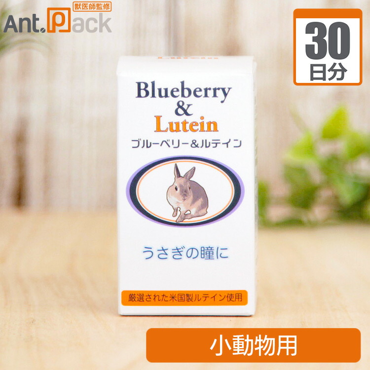 楽天市場】【即日発送】2026年1月9日入荷分 うさぎの瞳にブルーベリー