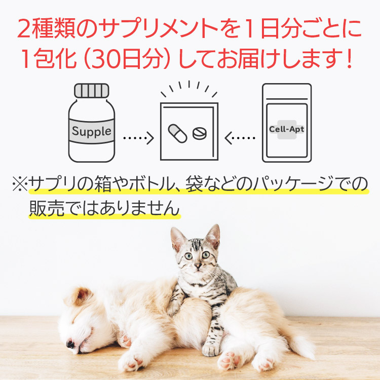 30日分に分包して専用boxでお届け 2個目から詰替パック 犬用品 サプリセット30日分 1日6粒 ミナヘルス 花びらたけ 1日1粒 セラプト タブレット 1日6粒 犬用 体重13 75 15kg 送料無料 花びらたけ ペット用サプリ専門 Ant Pack