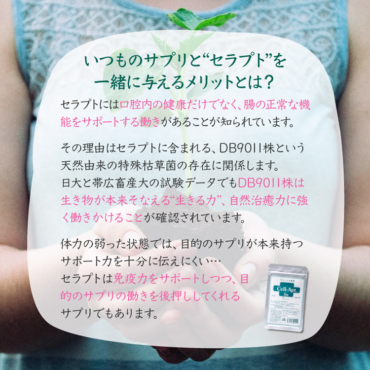 30日分に分包して専用boxでお届け 2個目から詰替パック サプリセット30日分 プラセンタq10 1日2カプセル セラプト タブレット 1日5 5粒 1日5 5粒 犬猫用 体重12 5 13 75kg サプリメント 送料無料 犬猫用 ペット用サプリ専門 Ant Pack 30日分に分包して専用boxでお届け 2個目から詰替パック サプリセット30日分 プラセンタq10 1日2カプセル セラプト タブレット 1日5 5粒 1日5 5粒 犬猫用 体重12 5 13 75kg サプリメント 送料無料 犬猫用 ペット用サプリ専門 Ant Pack