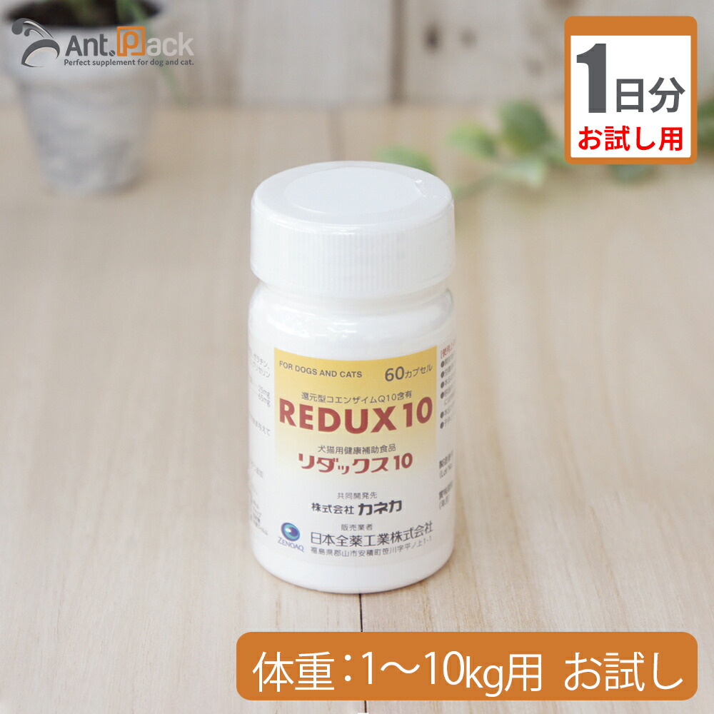 楽天市場】共立製薬 ネフガード顆粒 犬猫用 体重1kg〜5kg 1日0.4g30日 ...