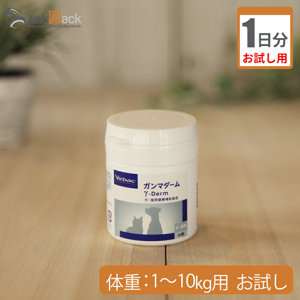 サプリメント >皮膚・被毛の健康 >犬猫 >ガンマダーム サプリメント >皮膚・被毛の健康 >犬猫 >ガンマダーム