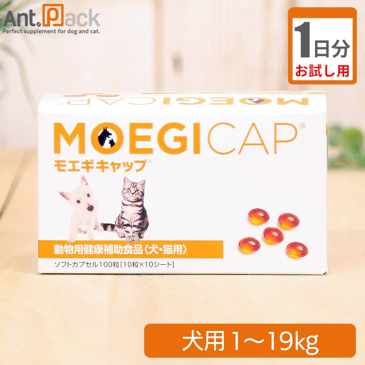 楽天市場】共立製薬 モエギキャップ 犬用 体重20kg〜30kg以上 1日2粒30