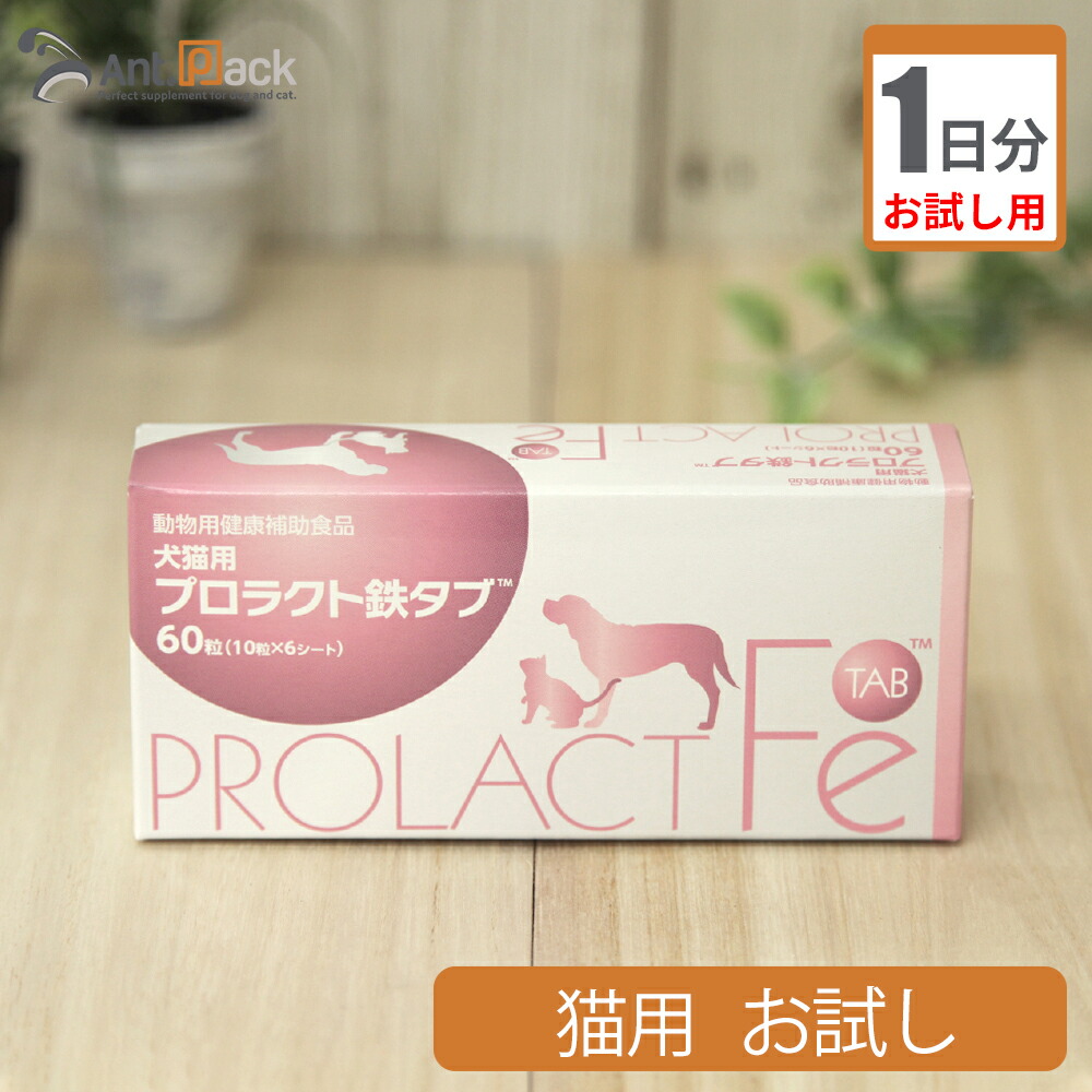c9-131-t1-10-t.jpg