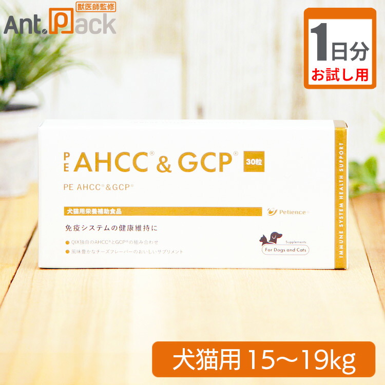 人気新品入荷 楽天市場】【お試し1日分】ペティエンス PE AHCC＆GCP 犬猫用 サプリメント