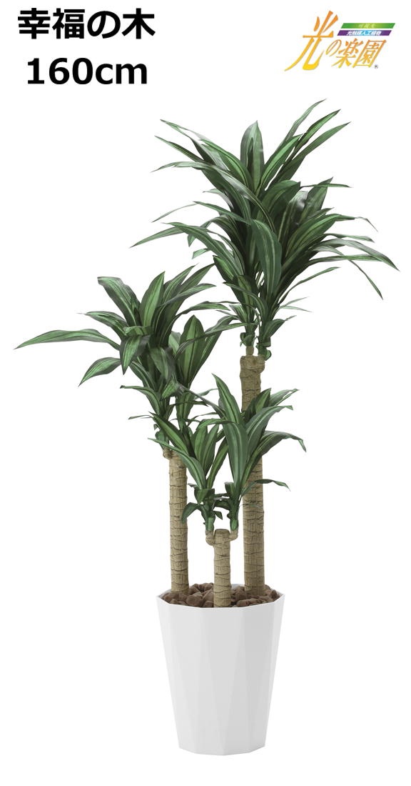 数量限定 特売 楽天市場 観葉植物 幸福の木 160cm 400a300 光触媒 人工 造花 インテリア フェイク グリーン 光の楽園 店舗 インテリア 代引不可 沖縄 離島配送不可 Antel 最新人気 Lexusoman Com