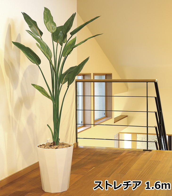 楽天市場】観葉植物 オリーブ 73cm 379K70 光触媒 人工 造花