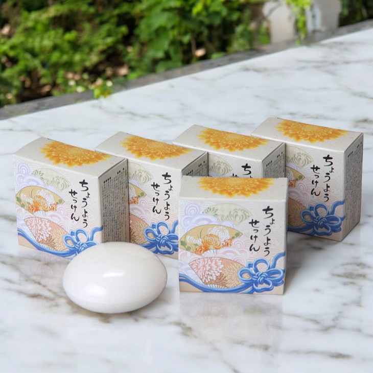 楽天市場】【即納】ちょうようせっけん 100g×5個セット 洗顔石鹸 洗顔