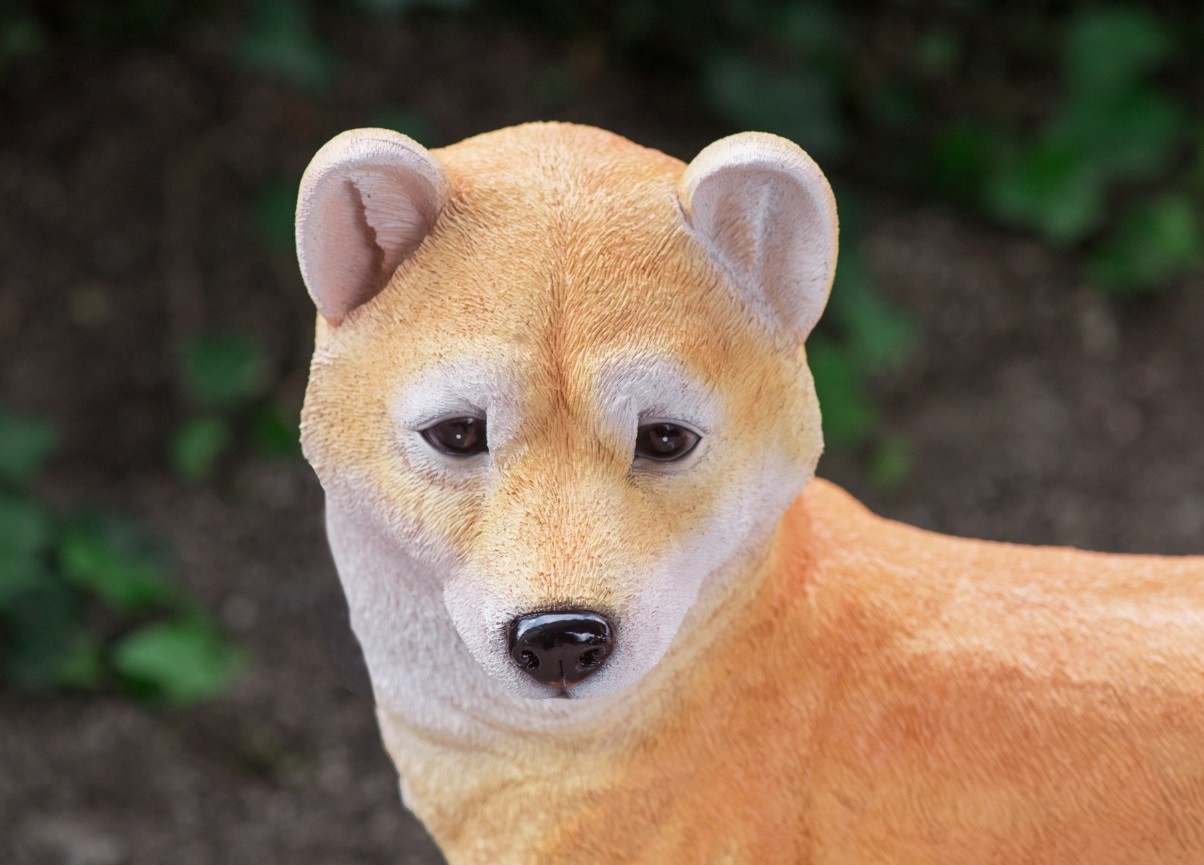 本物そっくり毛の荒物 柴探 据え物 癒し 犬 インテリア装飾 飾りつけ 開き ドール オブジェ 飼犬 エスワールド Foxunivers Com