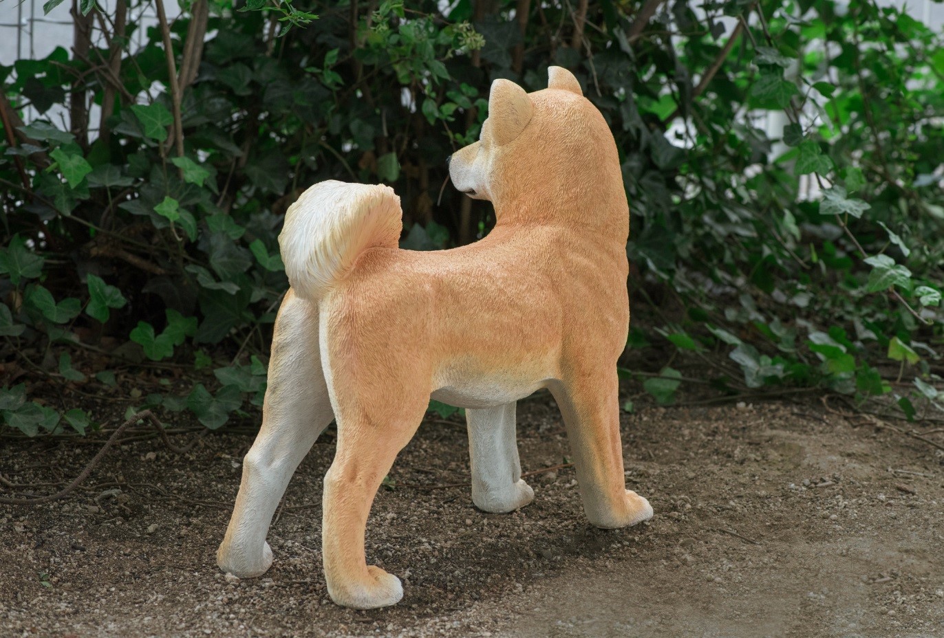 楽天市場 本物そっくりアニマル 柴犬 オーナメント 癒し 犬 インテリア 置物 玄関 人形 オブジェ ドッグ エスワールド Antel