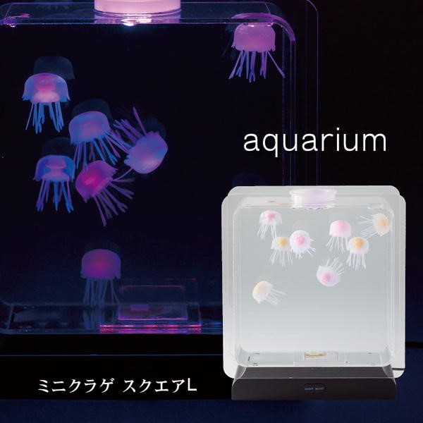 数量は多 楽天市場 アクアリウム Aquarium ミニクラゲ スクエアl イシグロ インテリア 人工 癒し シリコン ジェリーフィッシュ 水槽 Antel 安いそれに目立つ Lexusoman Com