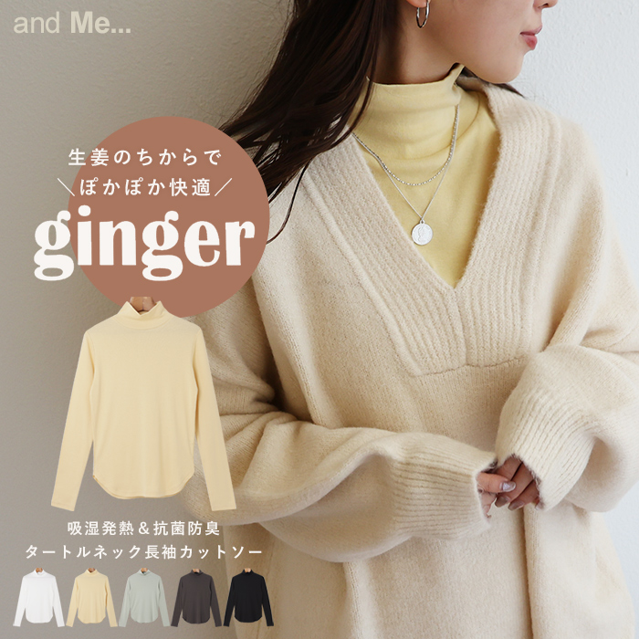 Ginger cotton shop ipad mini 2021 256