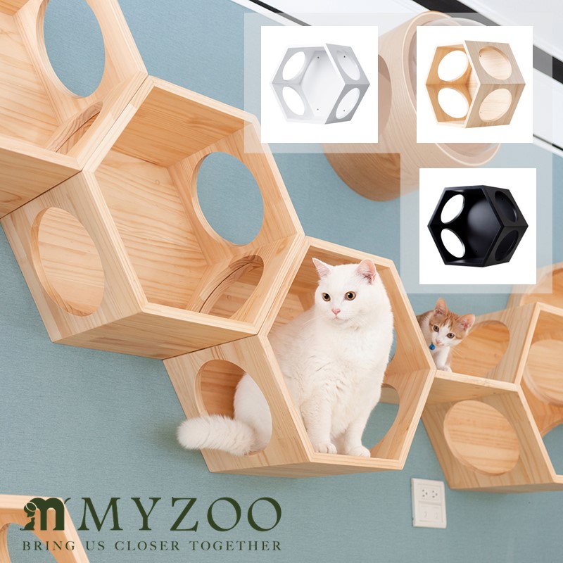 【キャットステップ】MYZOO-Busycat 六角ハウス【マイズー 猫 キャットウォーク 壁付け 壁掛け 遊び場 ハニカム おしゃれ 木製 シンプル 北欧】◆ 母の日