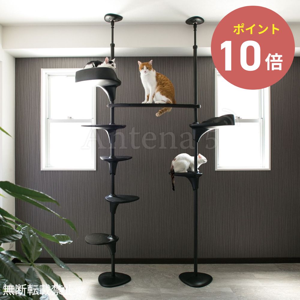 《全2色》OPPO キャットフォレスト ツー Cat Forest-2【愛玩動物装置 愛玩動物グッズ キャットツリー  突っ張り か細い 省間隔文字 キャットタワー 猫 猫 猫高閣 運動すること機能不全 飾り気の無い精神的な統合 オッポ】◆