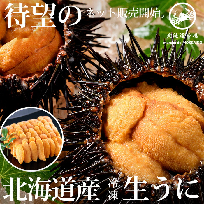 地元でとれたてムラサキウニ１０枚セット 楽天市場】【北海道産ウニ2色×いくら250gセット×2】蝦夷