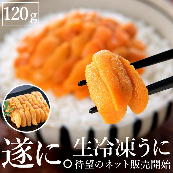 冷凍 生冷凍うに 120g 北海道産 生冷 冷凍食品 送料無料・メール便不可(V)