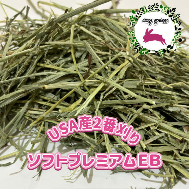 楽天市場】【any grass】 R6年 New Crop カナダ産 チモシー 1番