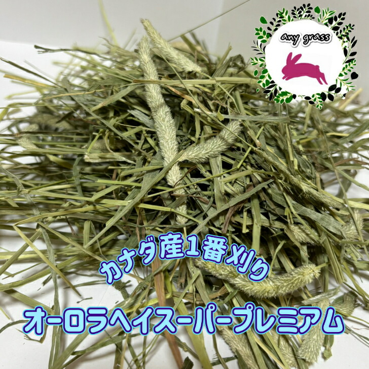 ★みかん★USA産イタリアンライグラス 楽天市場】【any grass】 USA産 イタリアンライグラス 1Kg~10Kg