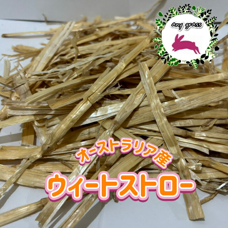 楽天市場】【any grass】 USA産 イタリアンライグラス 1Kg~15Kg 牧草