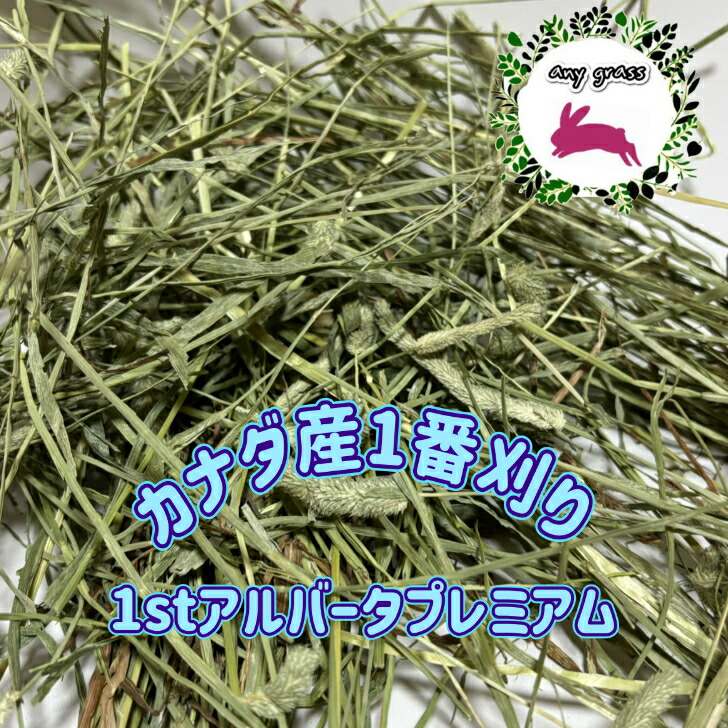 楽天市場】【any grass】 USA産 イタリアンライグラス 1Kg~15Kg