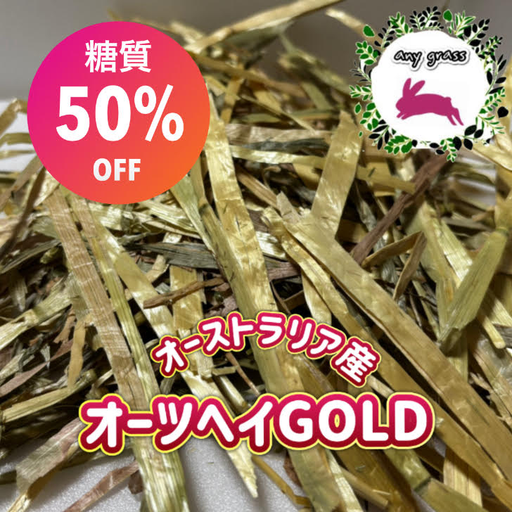 売れ筋 【即日発送】  【MPJWTLM33MX】 限定デザイン