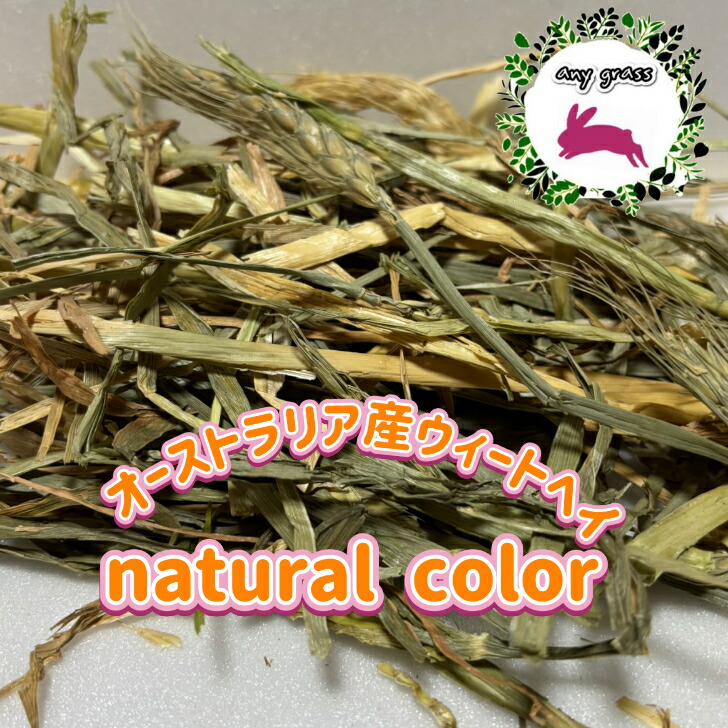 楽天市場】【any grass】 USA産 イタリアンライグラス 1Kg~15Kg 牧草