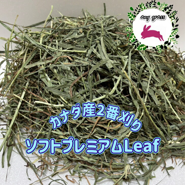 楽天市場】【any grass】 USA産 イタリアンライグラス 1Kg~15Kg 牧草