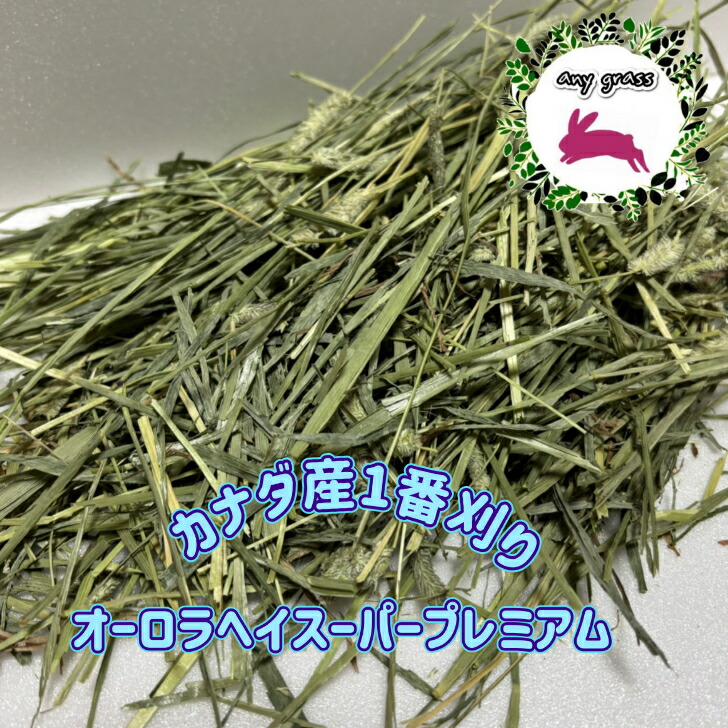 【any grass】R7年 カナダ産 チモシー 1番刈り オーロラヘイスーパープレミアム 1Kg ~ 15Kg 牧草 デハイ
