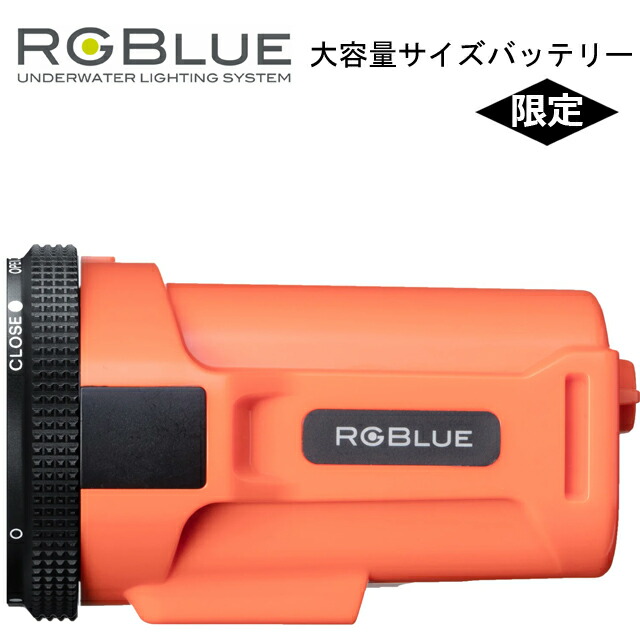 楽天市場】RGBlue バッテリーモジュール BM6721L 大容量モデル アールジーブルービデオライト 水中ライト LED クイック アダプター  ジョイント ライト ストロボ : GOOD TIME