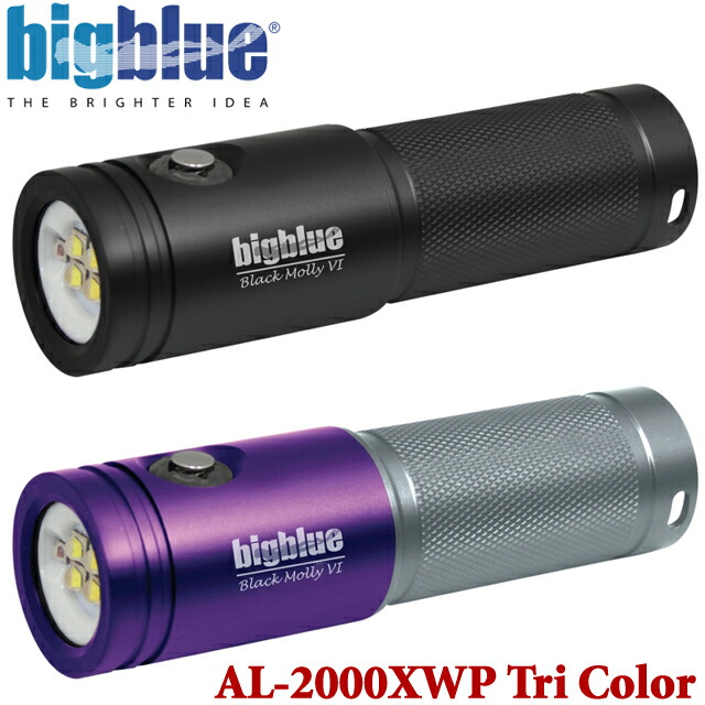 未使用 bigblue VTL-2900P 充電式 スポット光 拡散光 水中ライト