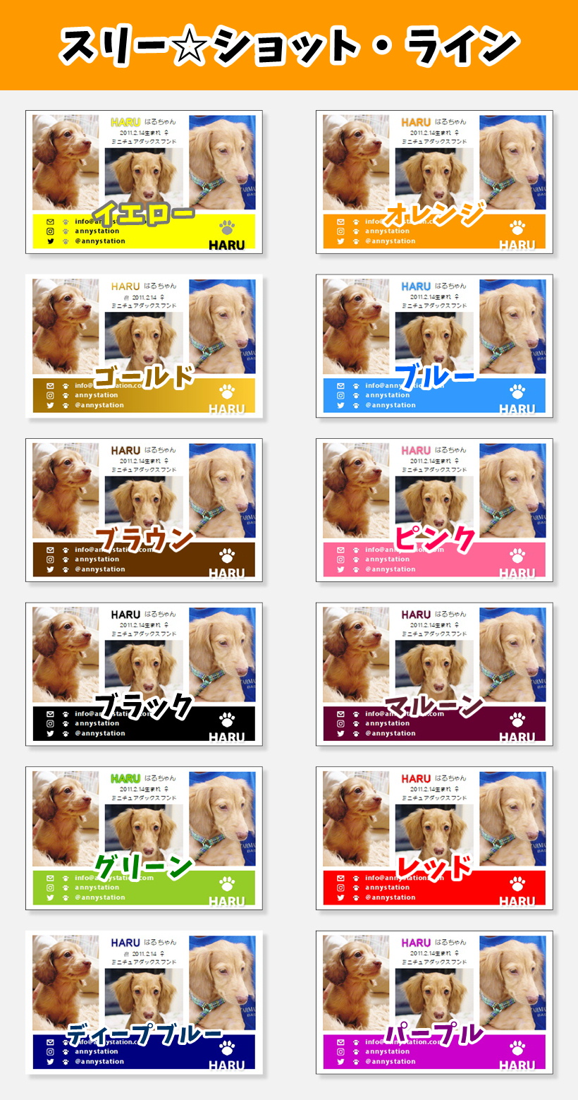 ペット名刺 デザイン 名刺作成 QRコード 両面 印刷 カラー 校正無料 写真入 インスタ Instagram お散歩 オフ会 ショップカード  スタンプカード 名刺 作成 名詞 めいし SNS 名刺交換 ペット うさぎ 名刺印刷 かわいい メール便送料無料 イヌ 無料 おしゃれ 選べるペット  ...
